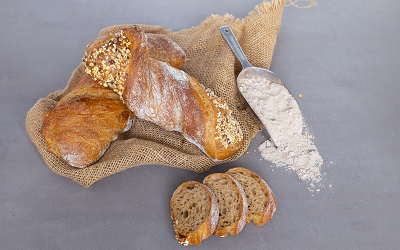 CreaFarine 10-20&nbsp;% 